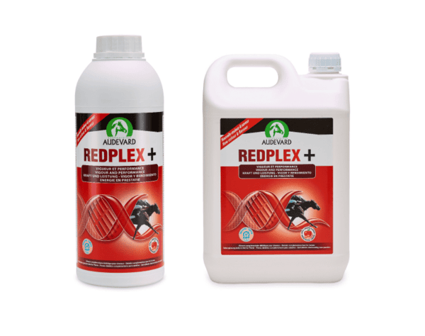 Audevard Redplex Plus – Cheval