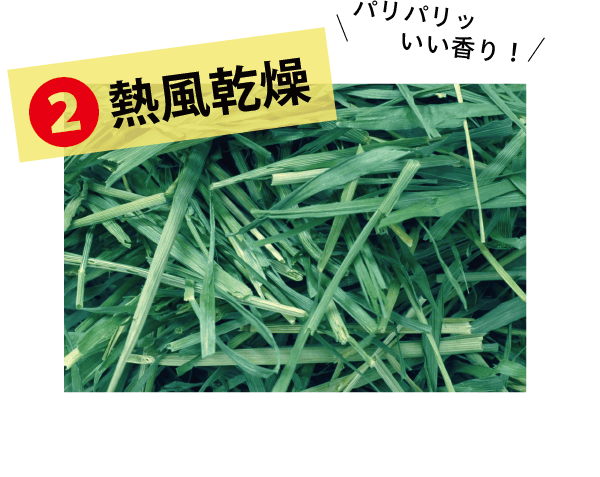 4種みっくす - 株式会社ウーリー｜うさぎの食彩工房