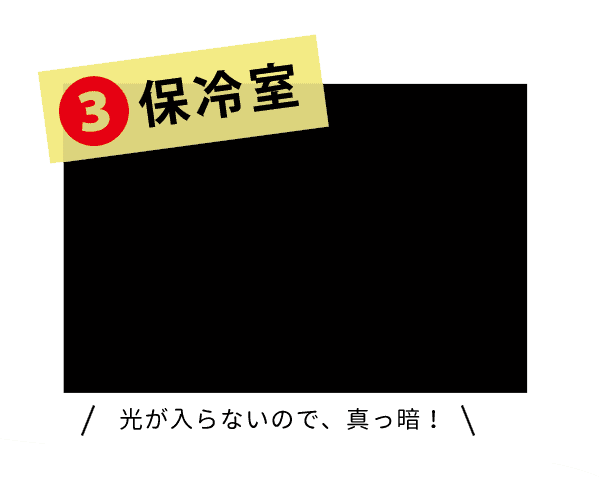 温湿度一定/紫外線遮断