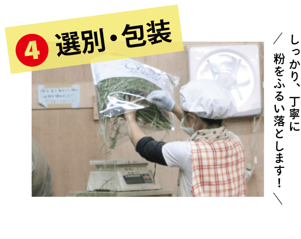 目視による異物の検査