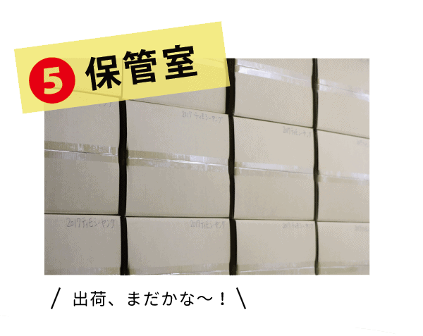 4種みっくす - 株式会社ウーリー｜うさぎの食彩工房