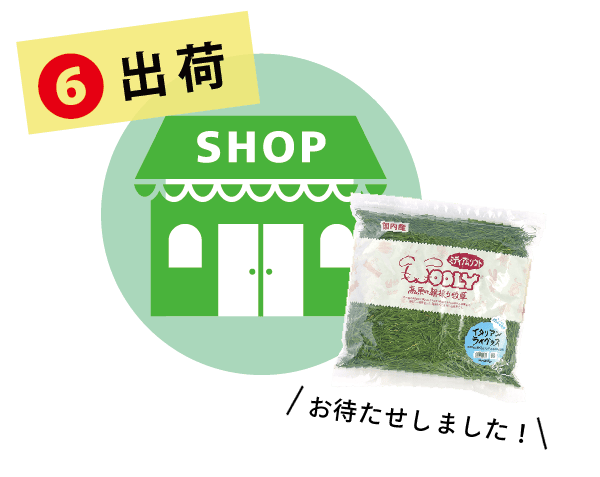 ワイルドイタリアン - 株式会社ウーリー｜うさぎの食彩工房