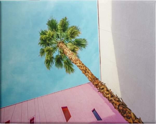 Palm Tree Lookup - Unframed Canvas Unframed Canvas