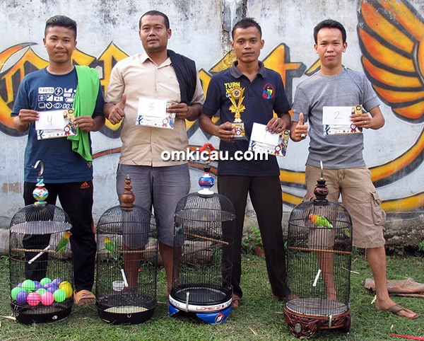 Latber Effentta Jambi-juara lovebird