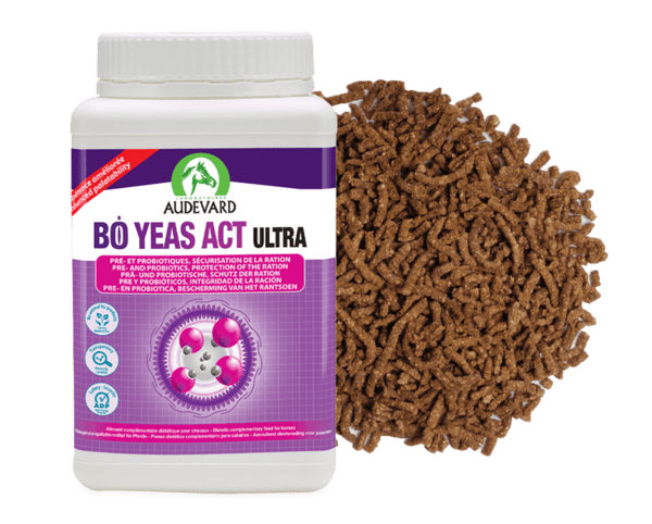 Bo Yeas Act Ultra Audevard équilibre digestif du cheval