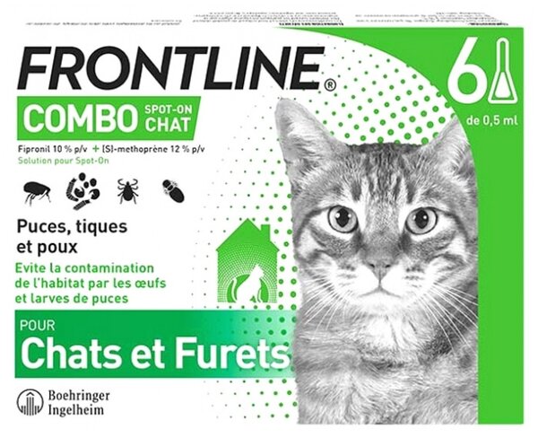 Frontline Combo Chat et furet