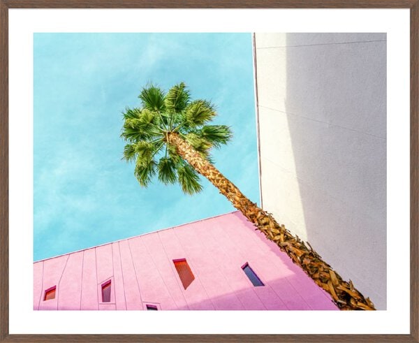 Palm Tree Lookup - 5cm White Border Box Walnut