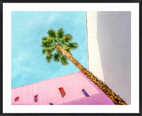 Palm Tree Lookup - 5cm White Border Box Black