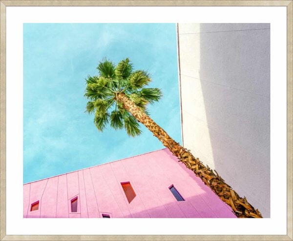 Palm Tree Lookup - 5cm White Border Sm. Box Champagne