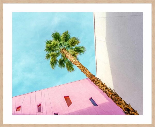 Palm Tree Lookup - 5cm White Border Box Natural