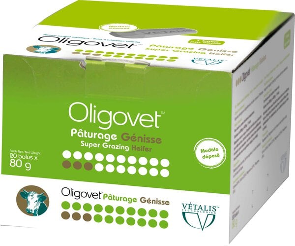 etui oligovet paturage