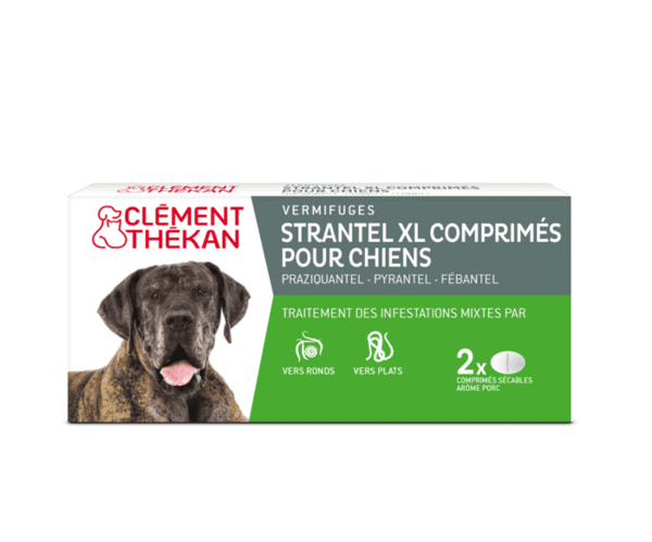 Clément Thékan Strantel XL Vermifuge Chien Boîte de 2 Comprimés