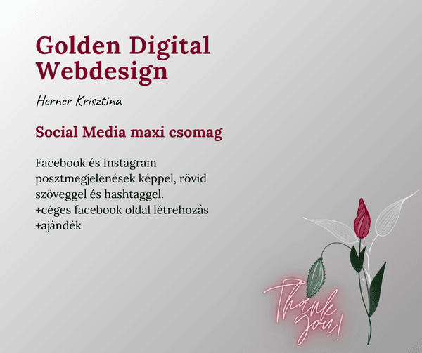 Social media maxi csomag-láthatósági rakéta
