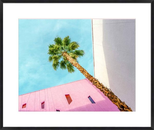 Palm Tree Lookup - 10cm Mount Board Box Black