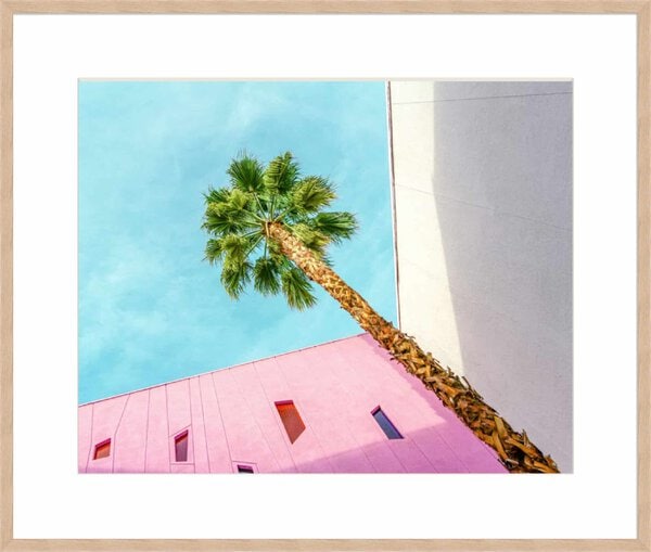 Palm Tree Lookup - 10cm Mount Board Box Natural