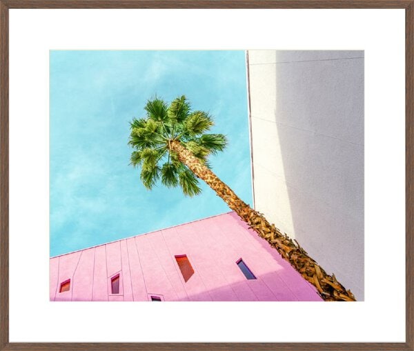 Palm Tree Lookup - 10cm Mount Board Box Walnut