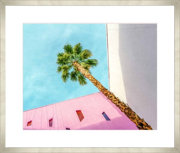 Palm Tree Lookup - 10cm Mount Board Med. Box Champagne