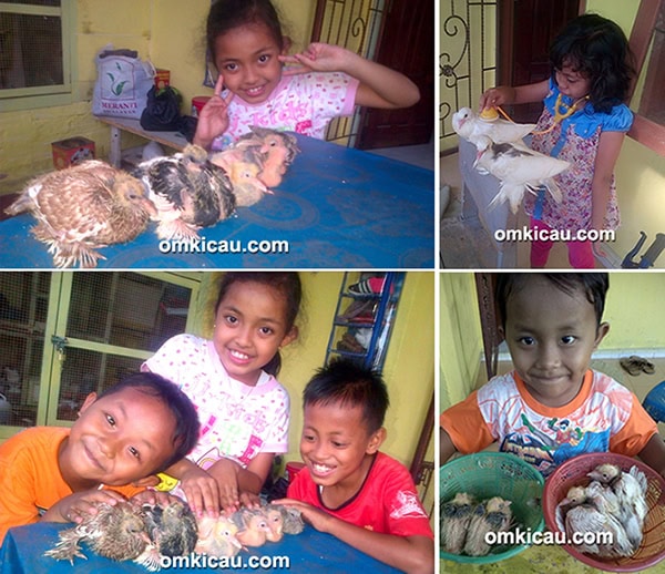 Ghio Bird Farm Jambi