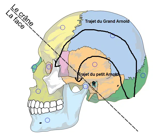 Trajet du grand Arnold et du petit Arnold