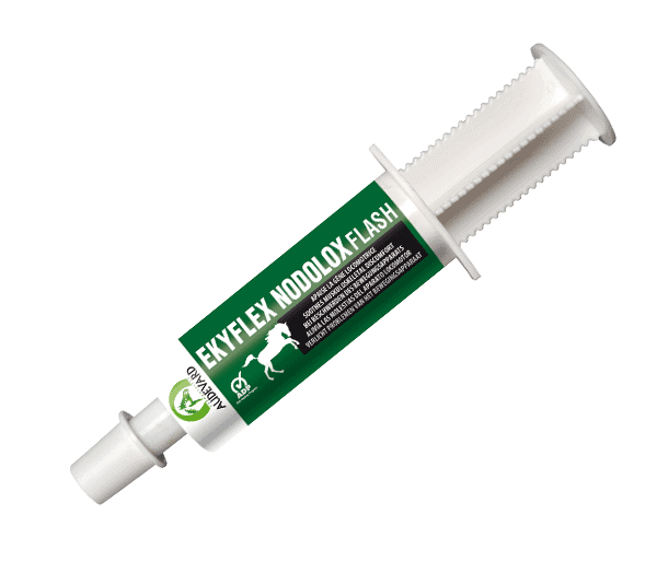 Audevard Ekyflex Nodolox Flash Cheval