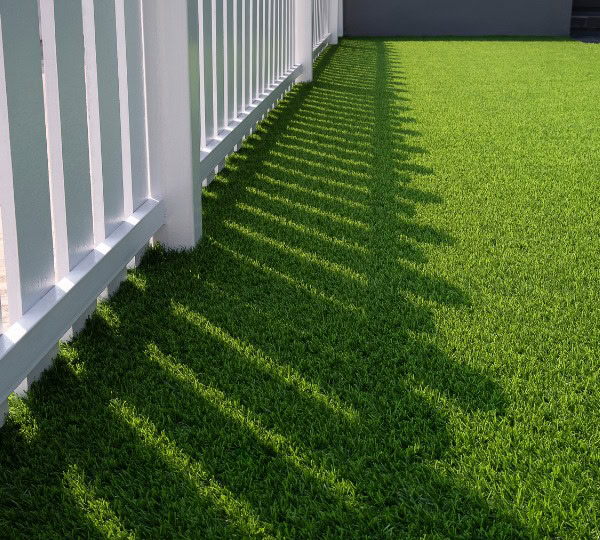 Turf Lawn
