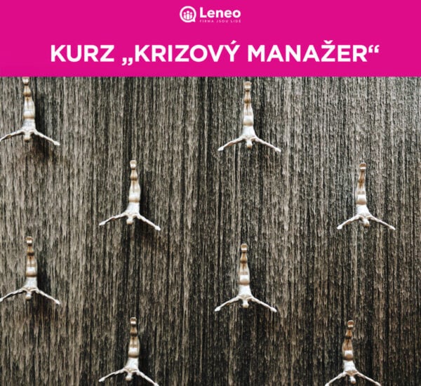 Krizový manažer Krizový manažer