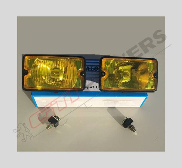 Paire de longue portée vitre jaune identique aux SIEM