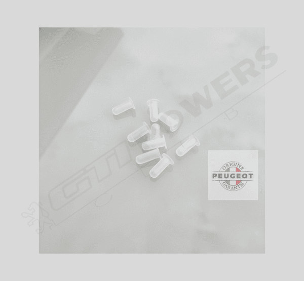 Ensemble clips de montage pour custodes 205 GTI