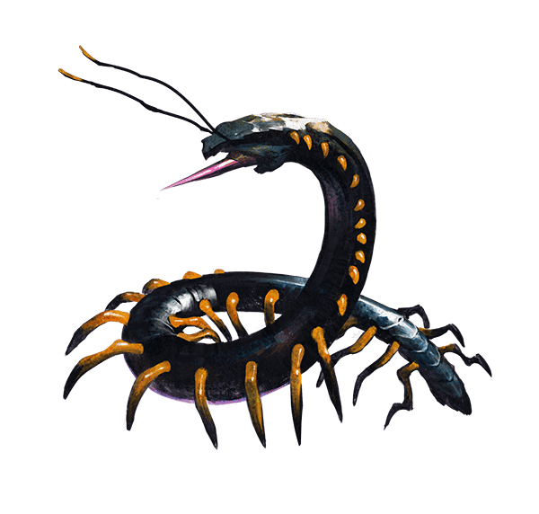 nazag3