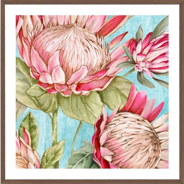 Popping King Protea I - 5cm White Border Box Walnut