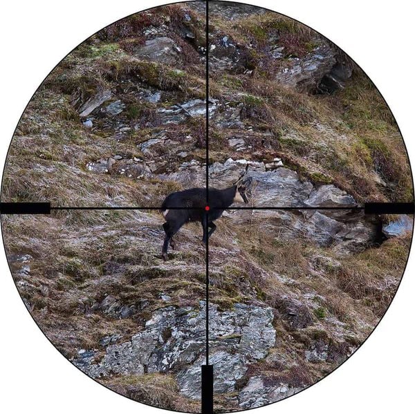 Infinity 4-20x58 iC Riflescope - Image 2