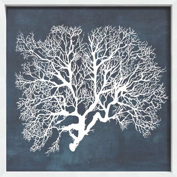 Inverse Sea Fan III - Canvas on Board White Shelf