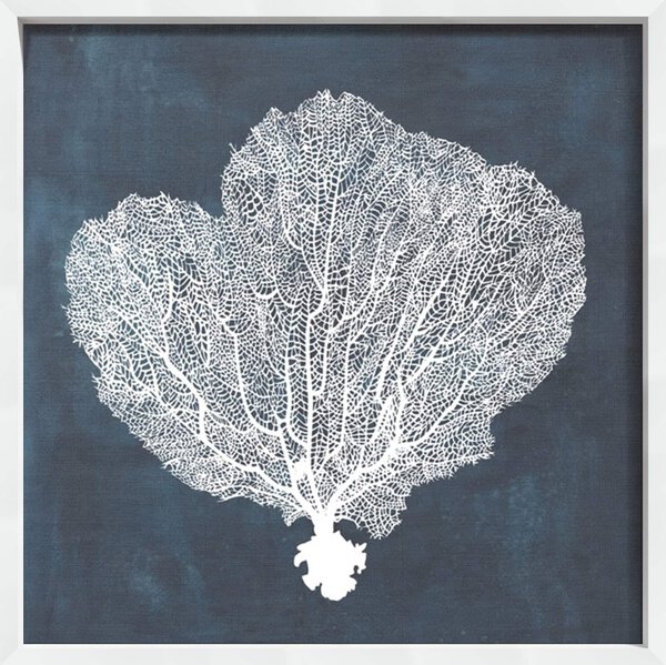 Inverse Sea Fan I - Canvas on Board White Shelf