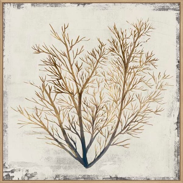 Yellow Coral II - Canvas Gallery Natural