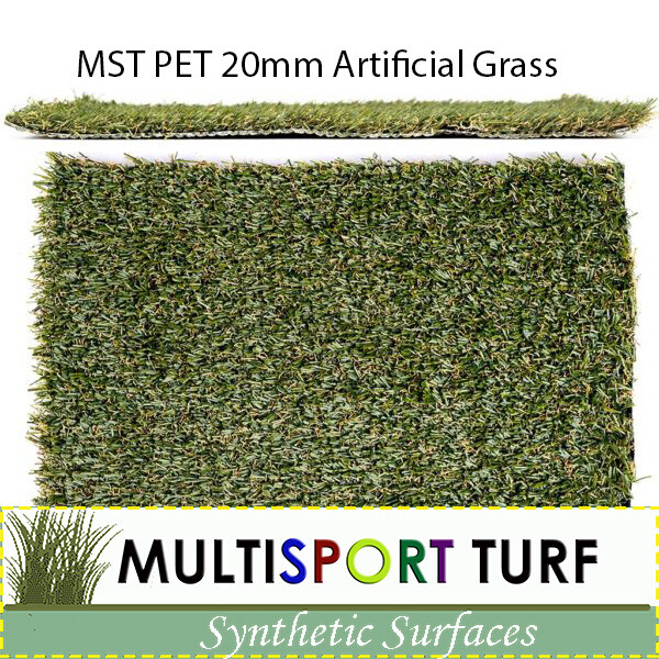 Pet Grass