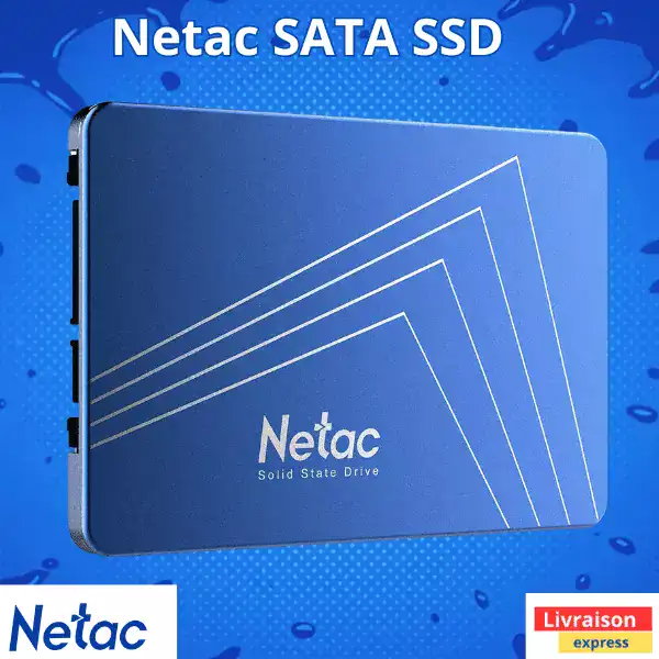 Netac N600S SATA III SSD 256GO - 1Tb