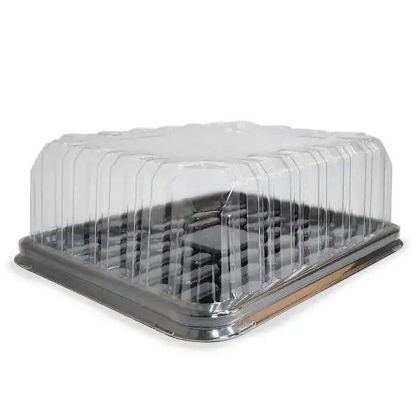 CÚPULA RECTANGULAR