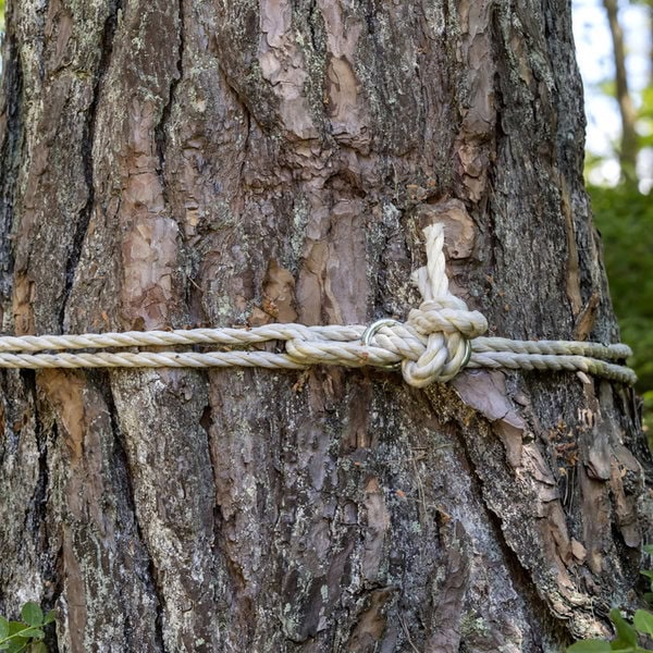 tree removal services