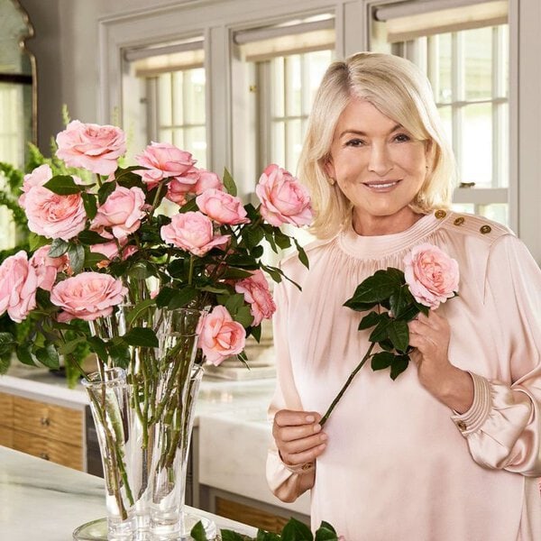 Rose Martha Stewart™