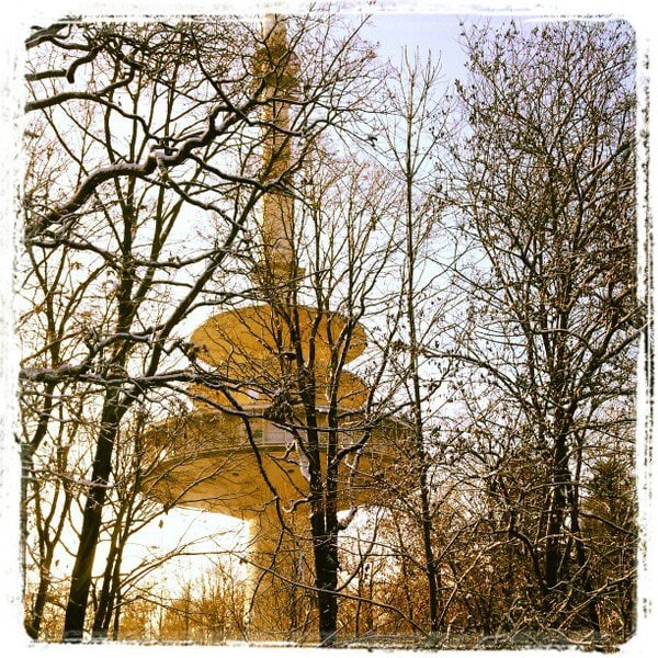 Ufo im Zauberwald.... ;-)