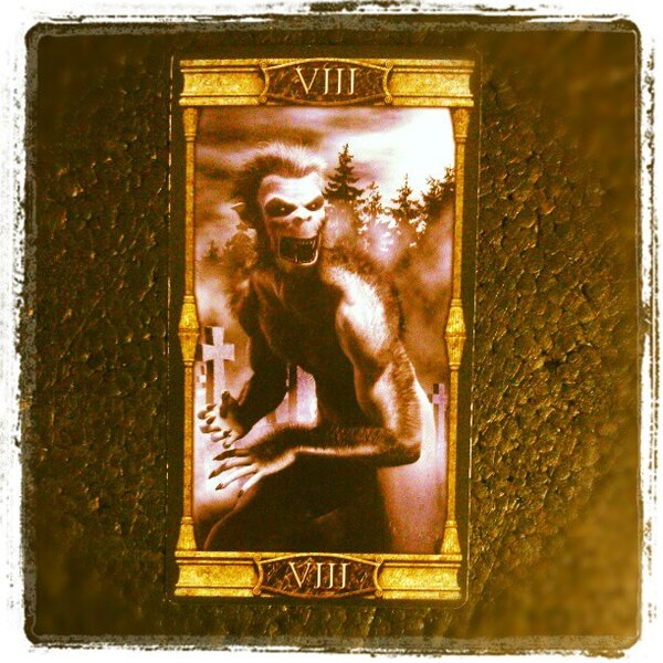 Meine heutige #Tageskarte ist Die Kraft. #tarot