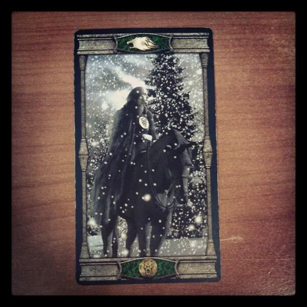 Heute der Ritter der Münzen #tarot #Tageskarte #esoterik