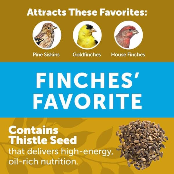 Does Home Depot Sell Bird Seed