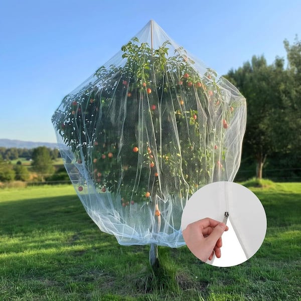 How to Bird Proof Fruit Trees