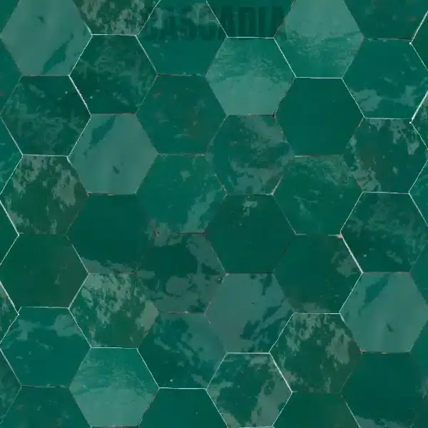 Pose de zellige Alvéoles en intérieur moderne – carreaux hexagonaux