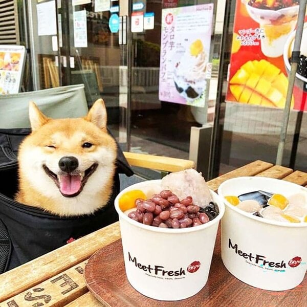 IN LY GIẤY CAFE GIÁ RẺ - Ảnh 5