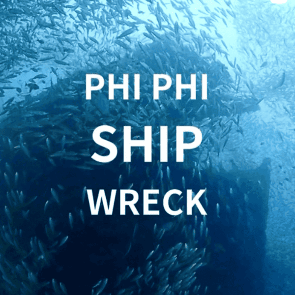 Diving koh Phi Phi_shipwreck