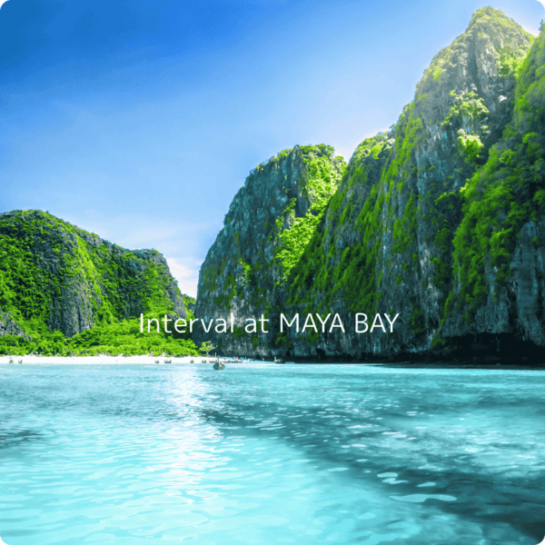 Scuba diving in Koh Phi Phi, Thailand with vibrant coral reefs