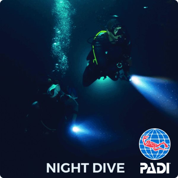 PADI Advanced Open Water Diver Course(AOW) in Koh Phi Phi - Image 7