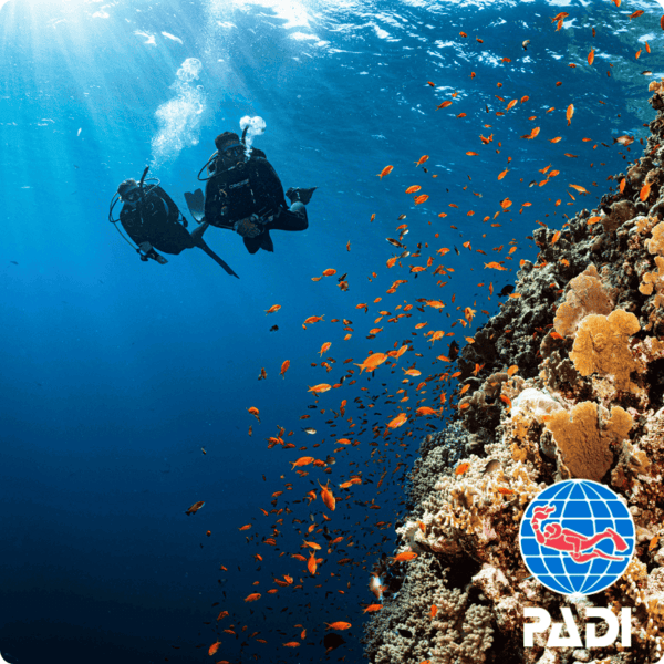 e-Learning of PADI Advanced Open Water Diver Course - Image 2